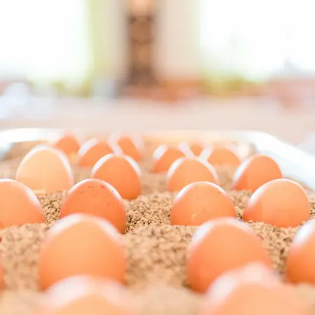 Kitz Ehemals Schlemmerhuette * Langweid