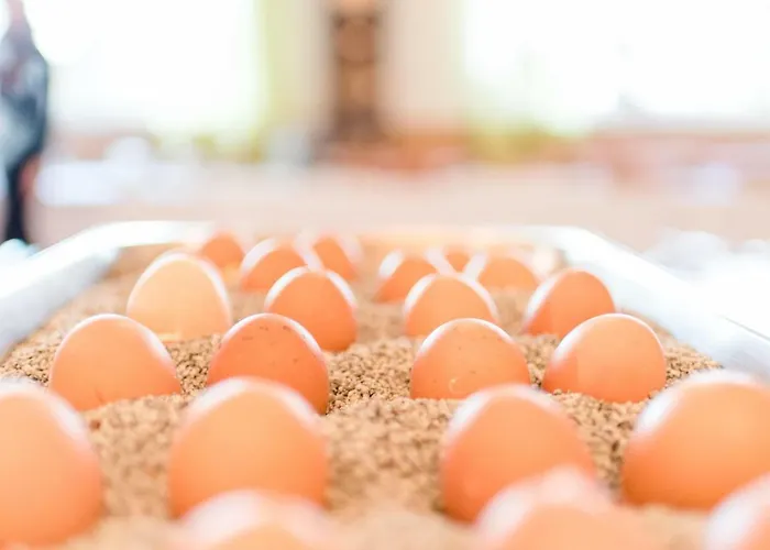 Kitz Ehemals Schlemmerhuette * Langweid